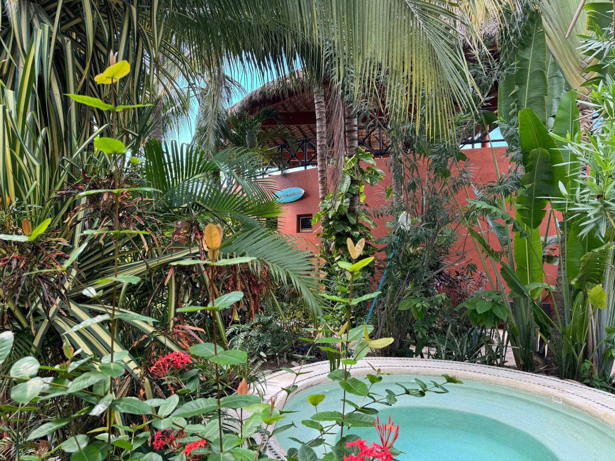 One Love Hostal Puerto Escondido Puerto Escondido  Bagian luar foto
