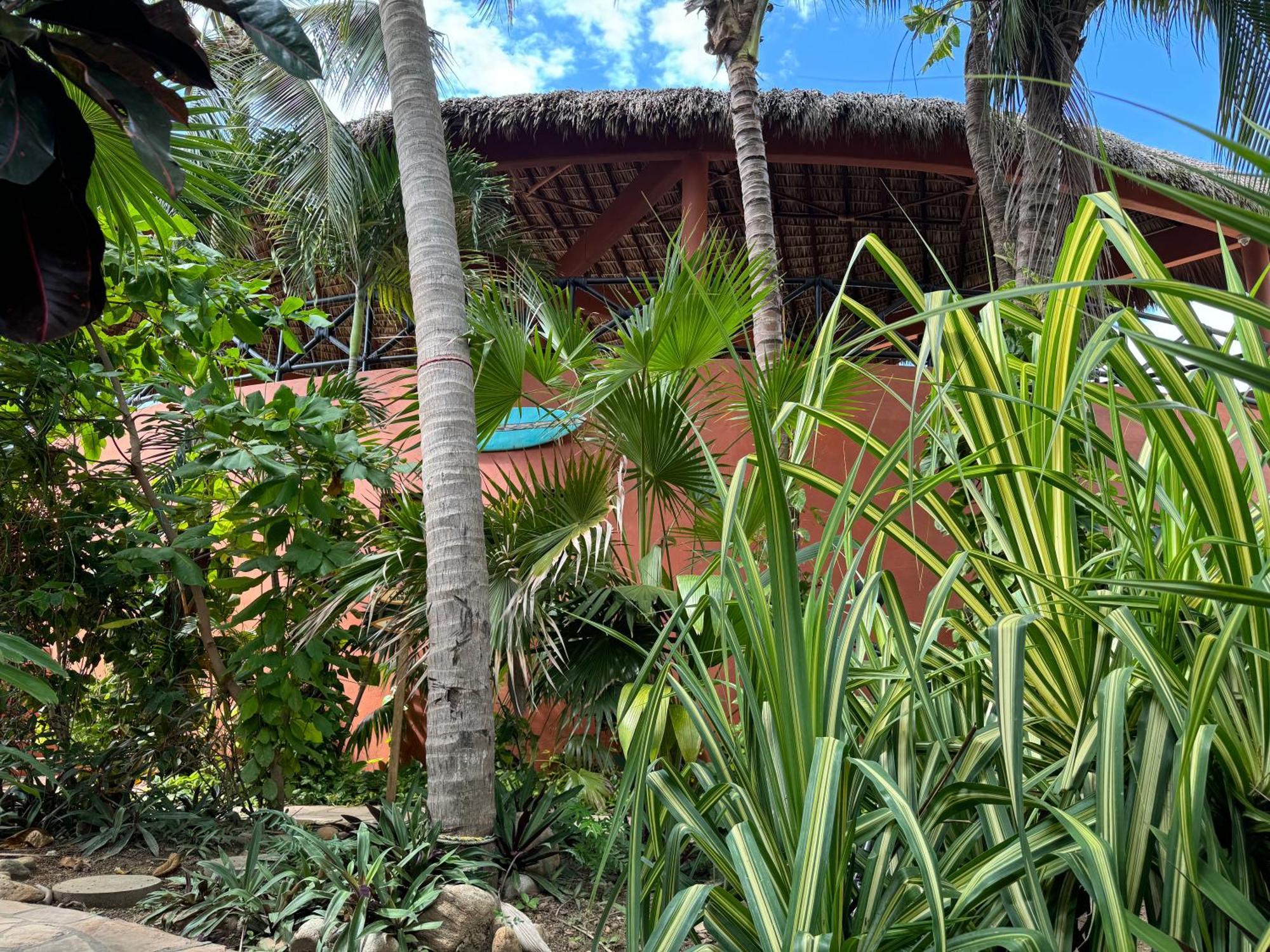 One Love Hostal Puerto Escondido Puerto Escondido  Bagian luar foto