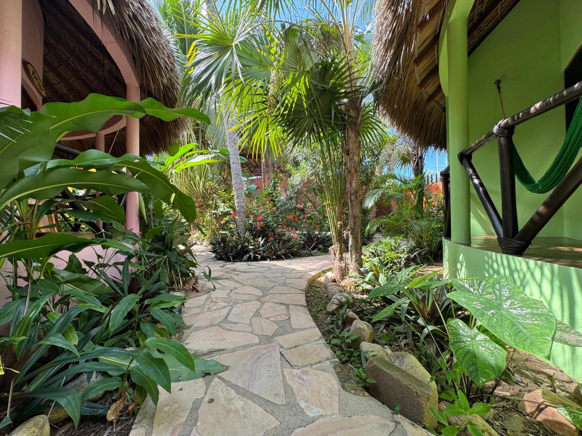 One Love Hostal Puerto Escondido Puerto Escondido  Bagian luar foto
