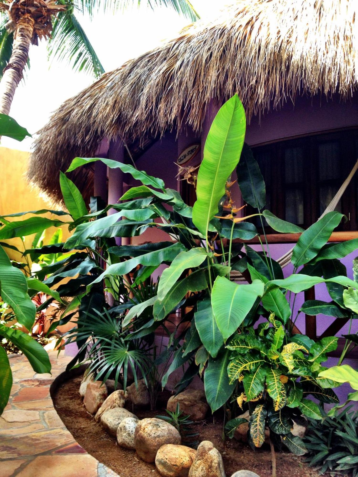 One Love Hostal Puerto Escondido Puerto Escondido  Ruang foto